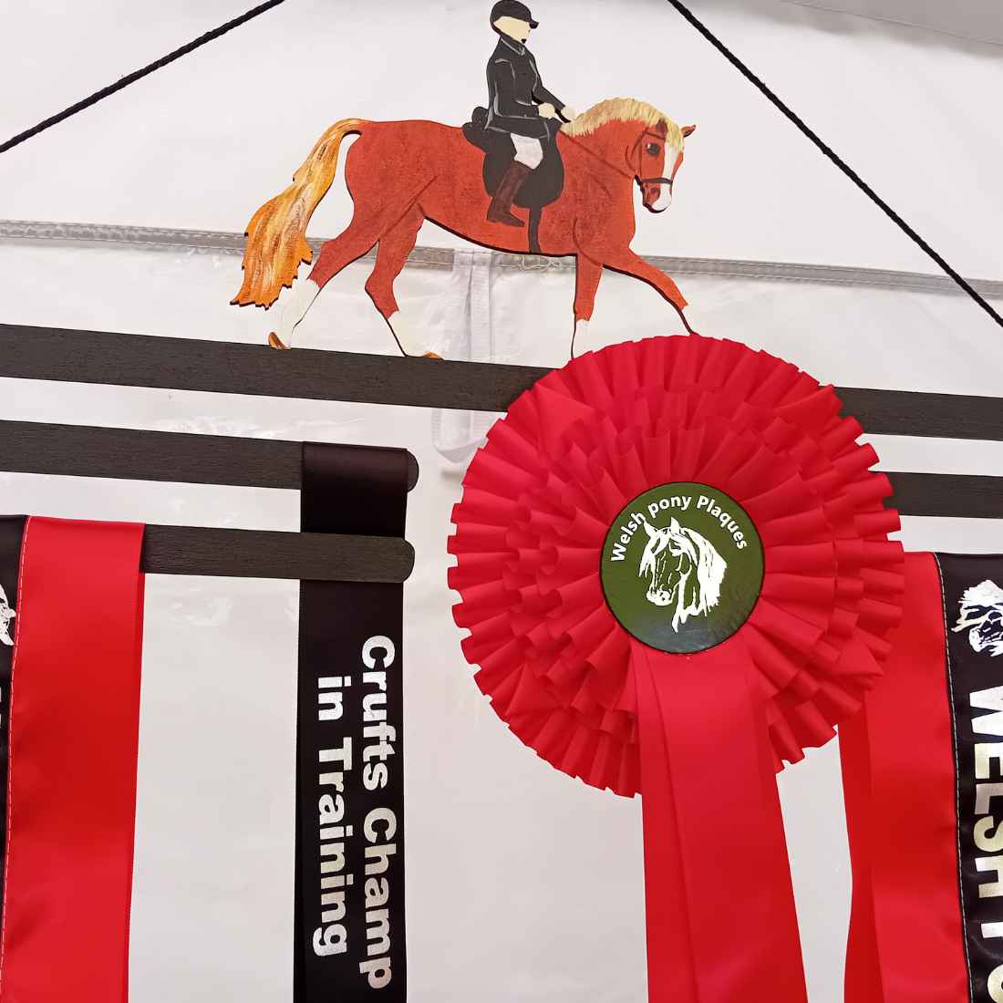 Hand-Painted Personalised Horse Sash Holder